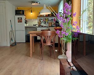 Guest house 544203 - Holiday property Vechtstreek - Vakantiehuis in Dedemsvaart
