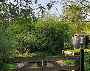 Guest house 544203 - Holiday property Vechtstreek - Vakantiehuis in Dedemsvaart