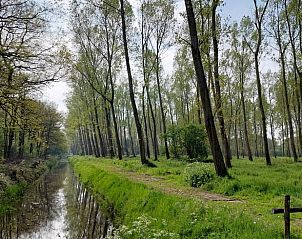 Guest house 544203 - Holiday property Vechtstreek - Vakantiehuis in Dedemsvaart