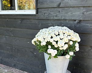 Guest house 544701 - Holiday property Vechtstreek - Vakantiehuisje in Witharen