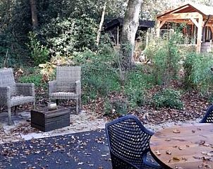 Rustige zithoek buiten Vakantiehuisje in De Bult, omgeven door groene natuur.