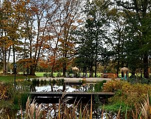 Herfstige vijveromgeving bij Vakantiehuisje in De Bult, met kleurrijke bomen en water.