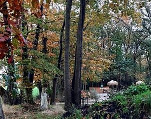 Bospad met herfstbladeren bij Vakantiehuisje in De Bult, Noordwest Overijssel.
