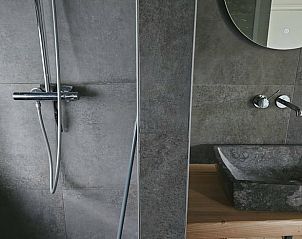 Douche en wastafel in de badkamer van Huisje in De Bult, Overijssel.