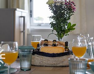 Natuurlijke omgeving rondom OV035 vakantiehuis in Scheerwolde, Overijssel.