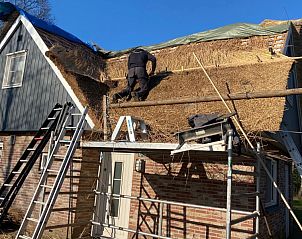 Guest house 550939 - Holiday property Noordwest Overijssel - Luxe Vakantievilla Weerribben