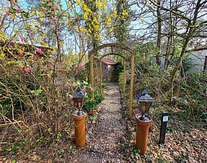 Guest house 551480 - Chalet Noordwest Overijssel - Chalet Boslust