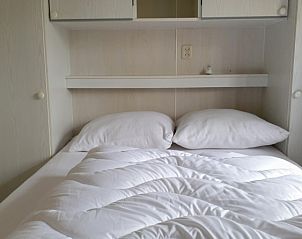 Guest house 551480 - Chalet Noordwest Overijssel - Chalet Boslust