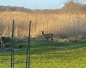 Guest house 551610 - Holiday property Noordwest Overijssel - Huisje in Kalenberg