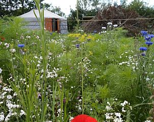 Slaapkamer met rustieke elementen en comfortabele opstelling in Vakantiehuisje in Zalk.