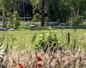 Lichte slaapkamer in OV517 vakantiehuis in Zuidveen, met uitzicht op de tuin en comfortabele bedden.