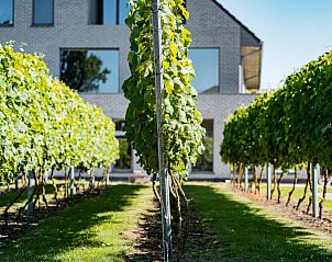 Verblijf 560204 - Bed and breakfast Oost-Vlaanderen - B&B Abalona