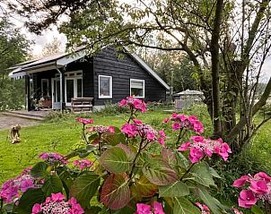 Vakantiehuis in Nigtevecht, Utrecht noord, omgeven door kleurrijke bloemen en groene natuur.