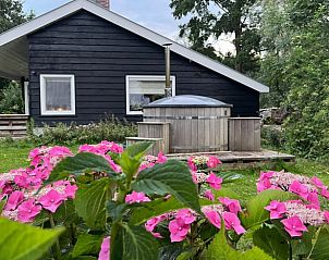 Hot tub bij Vakantiehuis in Nigtevecht, Utrecht noord, omgeven door levendige bloemen.
