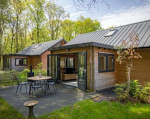 Amaryllis vakantiehuis in Soesterberg met terras omgeven door natuur in Utrecht noord.