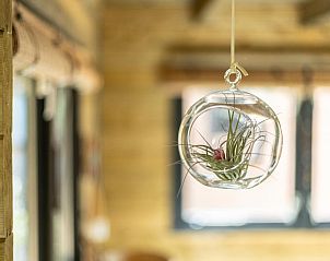 Verblijf 561308 - Vakantiewoning Utrecht noord - Amaryllis