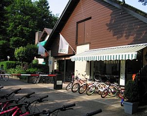 Fietsverhuur bij Bungalowpark in Lage Vuursche ideaal voor verkenning Utrechtse Heuvelrug