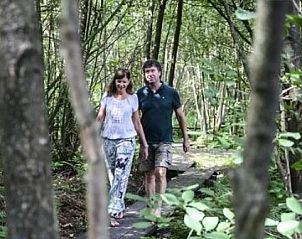 Wandelpad in de groene omgeving van Ons puntje vakantiehuis, Renswoude, Utrechtse Heuvelrug. Geniet van de natuur.