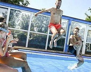 Zwemplezier bij het zwembad van Ons puntje chalet in Renswoude, Utrechtse Heuvelrug. Ideaal voor families en ontspanning.