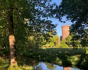 Rustige natuuromgeving bij Vakantiehuisje in Driebergen-Rijsenburg, Utrechtse Heuvelrug, Utrecht.