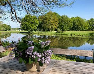 Veranda met uitzicht op vijver bij Vakantiehuisje in Driebergen-Rijsenburg, Utrechtse Heuvelrug, Utrecht.