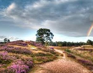 Heidevelden en regenboog nabij Vakantiehuisje in Driebergen-Rijsenburg, Utrechtse Heuvelrug.