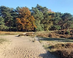 Terras met zitplek en groen bij Vakantiehuisje in Driebergen-Rijsenburg, Utrechtse Heuvelrug.