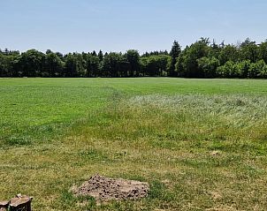 Groen landschap rondom Vakantiehuis in Leersum, Utrechtse Heuvelrug.