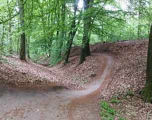 Bospad voor wandelingen bij Vakantiehuis in Leersum, Utrechtse Heuvelrug.
