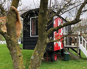 Guest house 571307 • Holiday property Utrechtse Heuvelrug • Vakantiehuisje in Wijk bij Duurstede 