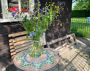 Bloemen op terras bij Huisje in Nieuwersluis, vakantiehuis, Utrecht eo, Utrecht.