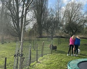 Bezoekers in de tuin van Huisje in Nieuwersluis, vakantiehuis, Utrecht eo, Utrecht.