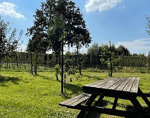 Prachtige groene omgeving van Huisje in 't Goy, vakantiehuis in Utrecht met picknicktafel onder de bomen.
