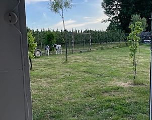 Uitzicht vanuit Huisje in 't Goy, vakantiehuis in Utrecht met weelderige tuin en speelruimte.