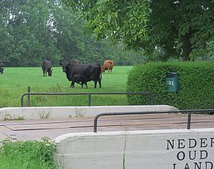 Verblijf 581002 - Vakantiewoning Utrecht eo - Vakantiehuis in IJsselstein