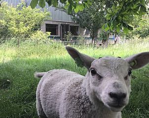 Verblijf 600307 - Vakantiewoning Schouwen-Duiveland - Huisje in Zierikzee