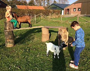 Verblijf 600847 - Chalet Schouwen-Duiveland - Chalet Aqua