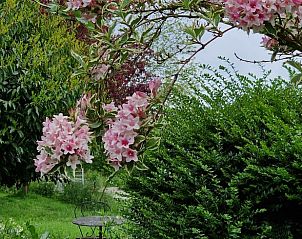 Romantisch hoekje in de tuin van Vakantiehuisje in Dreischor, Schouwen-Duiveland, Zeeland met bloeiende struiken.