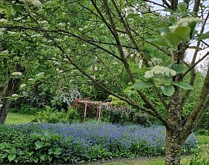 Bloemenpracht in de tuin van Vakantiehuisje in Dreischor, Schouwen-Duiveland, Zeeland voor natuurliefhebbers.