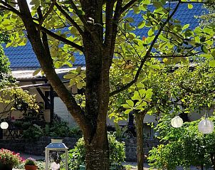 Sneeuw bedekt de tuin van Vakantiehuisje in Dreischor, Schouwen-Duiveland, Zeeland in de winter.