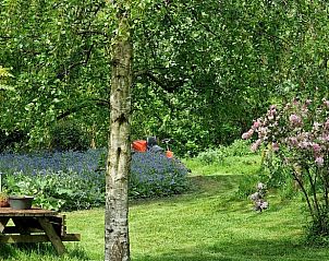 Vijver omringd door groen in de tuin van Vakantiehuisje in Dreischor, Schouwen-Duiveland, Zeeland.