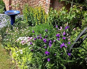 Verblijf 603222 - Vakantiewoning Schouwen-Duiveland - 