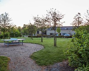 Groene omgeving bij Vakantiehuis in Looperskapelle, Schouwen-Duiveland, met een tafeltennistafel in de tuin.