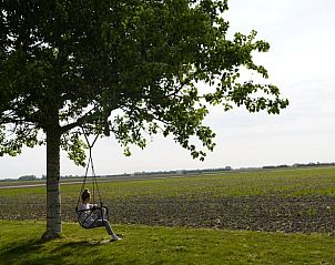 Rustgevende schommel onder boom met uitzicht over velden bij Vakantiehuis in Looperskapelle, Zeeland.