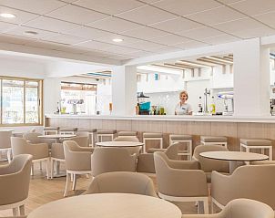 Guest house 6116004 - Apartment Mallorca - Blue Sea Hotel Don Jaime