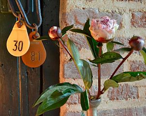 Guest house 613901 - Bed and Breakfast Zuid Limburg - Dalauro Bed & Breakfast