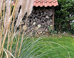 Houtopslag in tuin van Dishoek 6a vakantiehuis in Dishoek Walcheren.