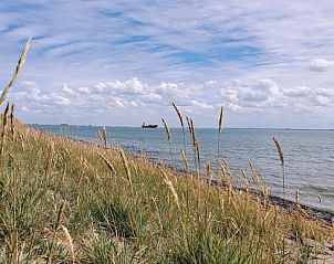 Verblijf 620772 - Bungalow Walcheren - Bungalow Houtsnip