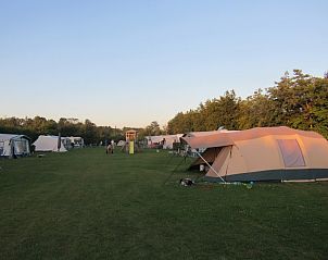 Guest house 621019 - Tent house Walcheren - Minicamping Hoekvliet