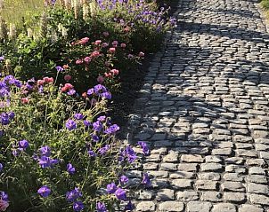 Verblijf 621153 - Vakantiewoning Walcheren - ‘Zeewinde’